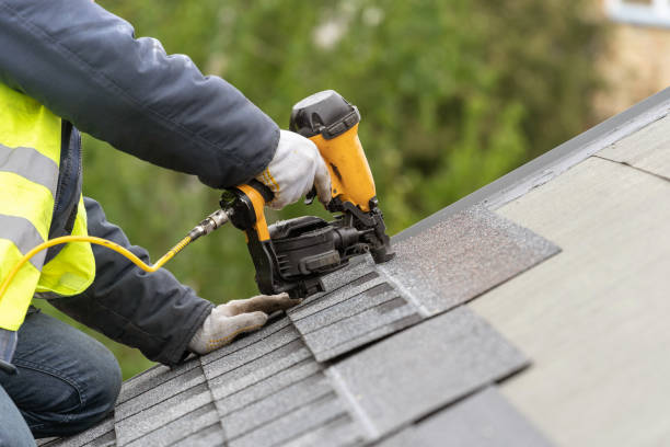 Professional Roofing services in Craig, AK
