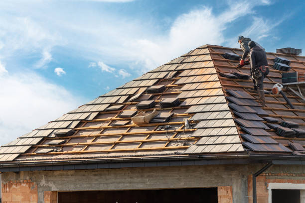 Best Storm Damage Roof Repair  in Craig, AK