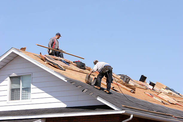 Best Hot Roofs  in Craig, AK